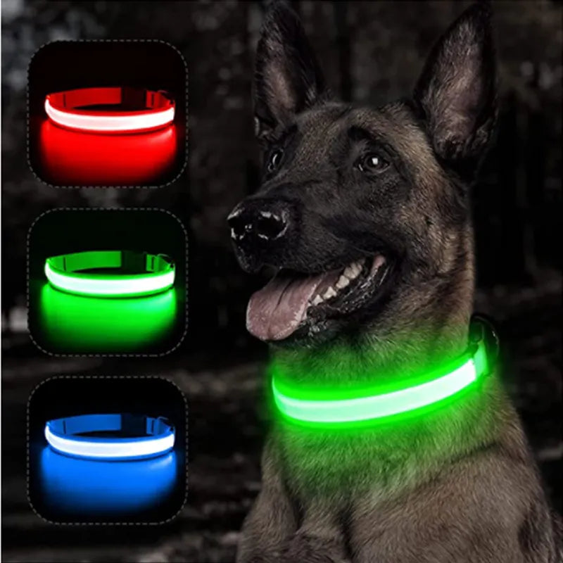 Pet LED Collar - Rechargeable