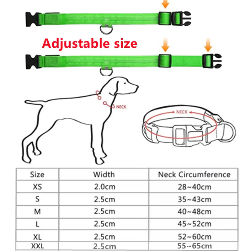 Pet LED Collar - Rechargeable