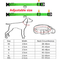 Thumbnail for Pet LED Collar - Rechargeable