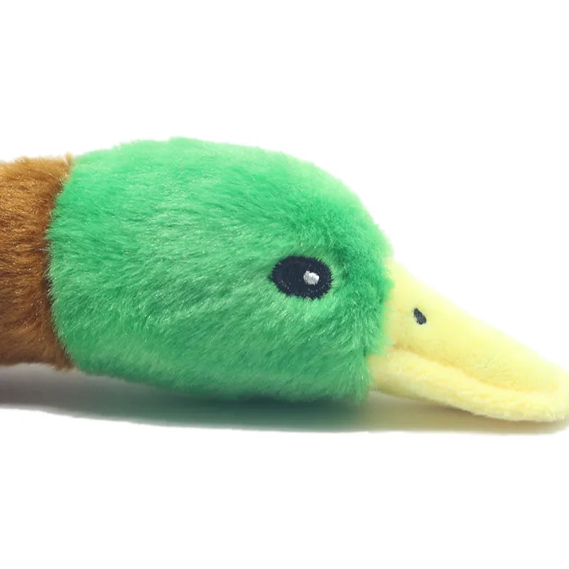Plush Mallard Duck Dog Toy